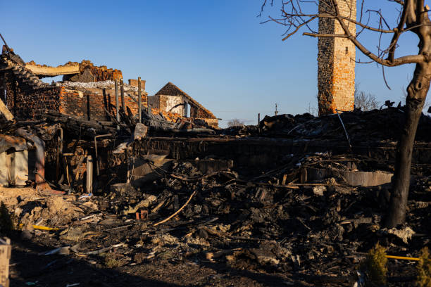Reliable Fire Damage Removal contractor in Chandler, TX by Fire Damage Doption