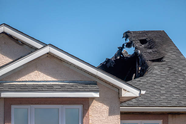 Top rated local Fire Damage Removal specialists in Chandler, TX